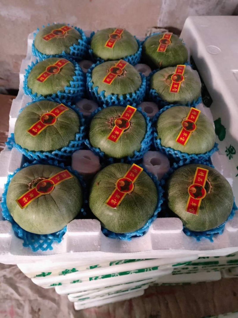精品香瓜，口头好糖度高，大量上市热卖中！品种齐全