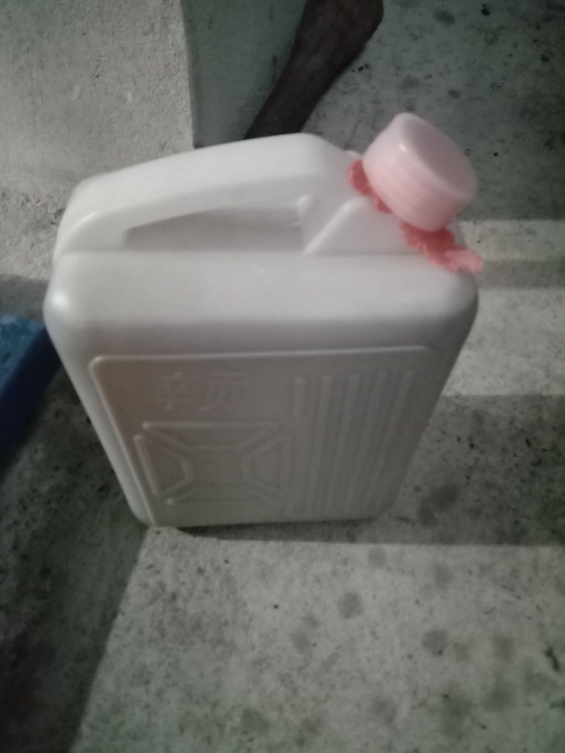 山茶油