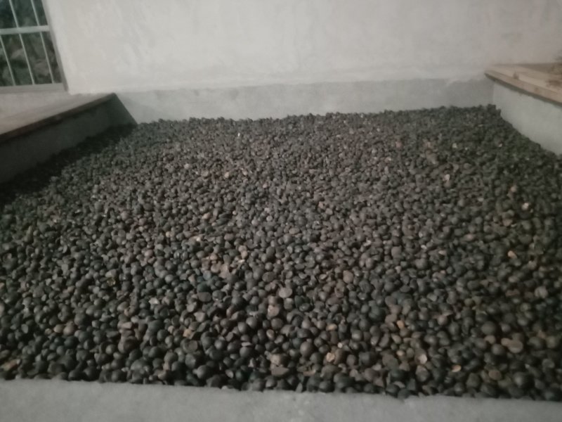 山茶油
