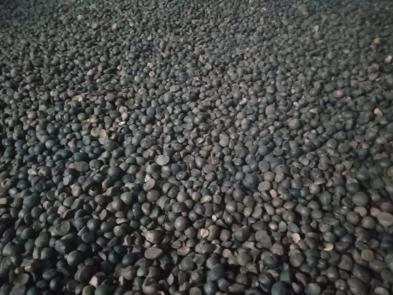 山茶油