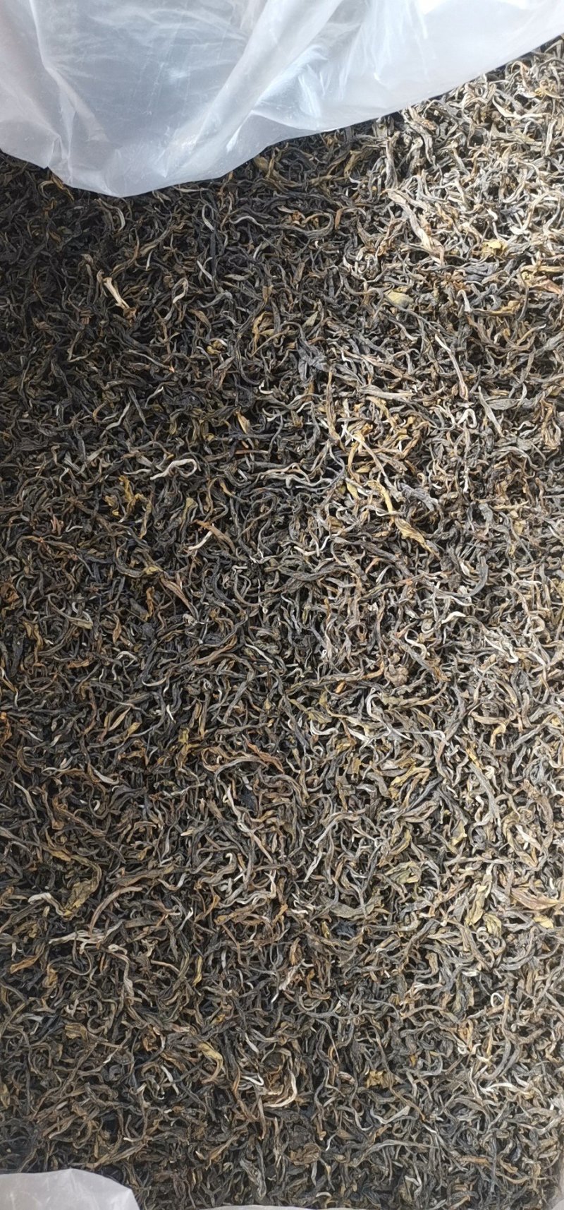 绿茶普洱茶二级翠茗滇绿春茶包邮活动价