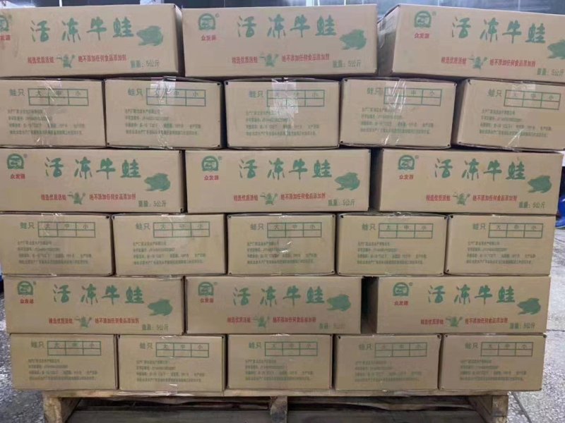 牛蛙厂家直销质量保证