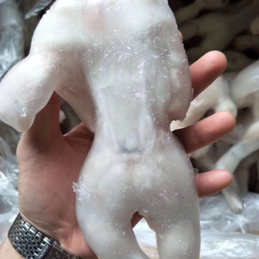 牛蛙厂家直销质量保证