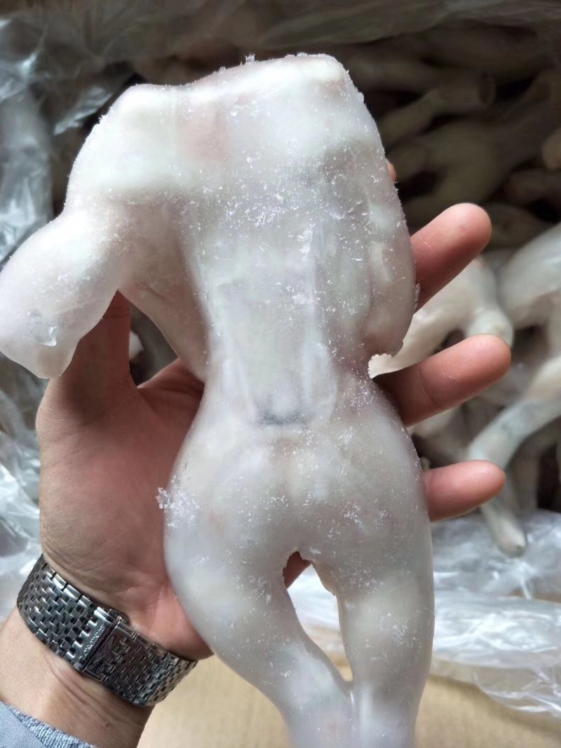牛蛙厂家直销质量保证