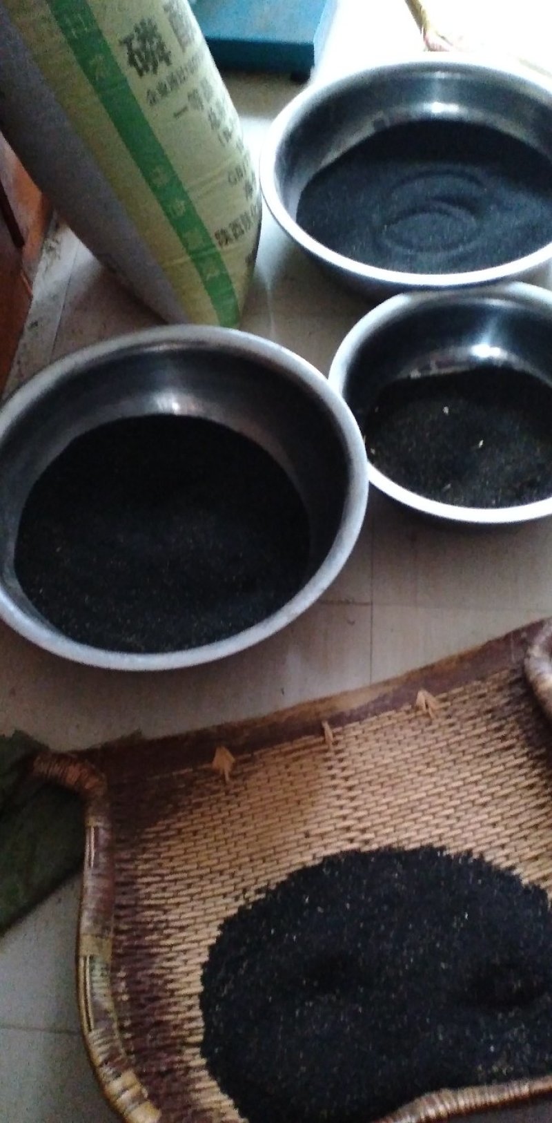 新品种黄芩种子