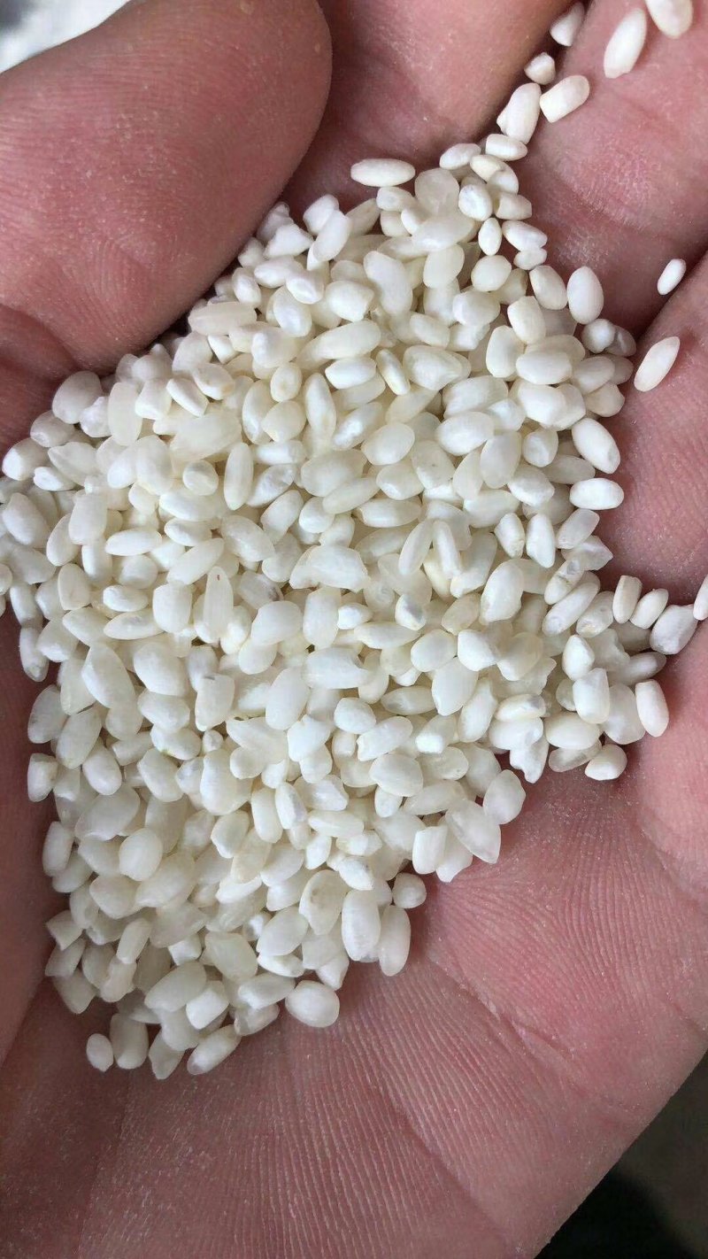 北方优质珍珠米色选纯白米开购了
