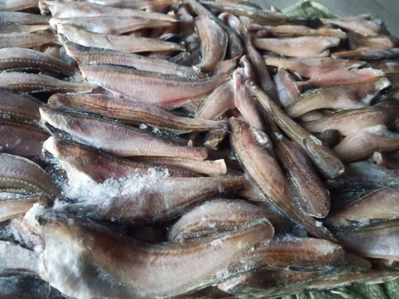 雷鱼，去头去尾雷鱼，三去雷鱼，价格便宜，质量保障，招代理