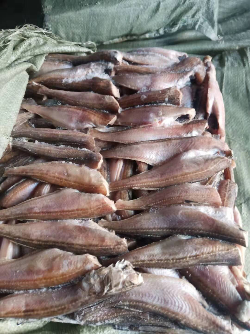 雷鱼，三去雷鱼，朝鲜特产，板冻货，量大从优