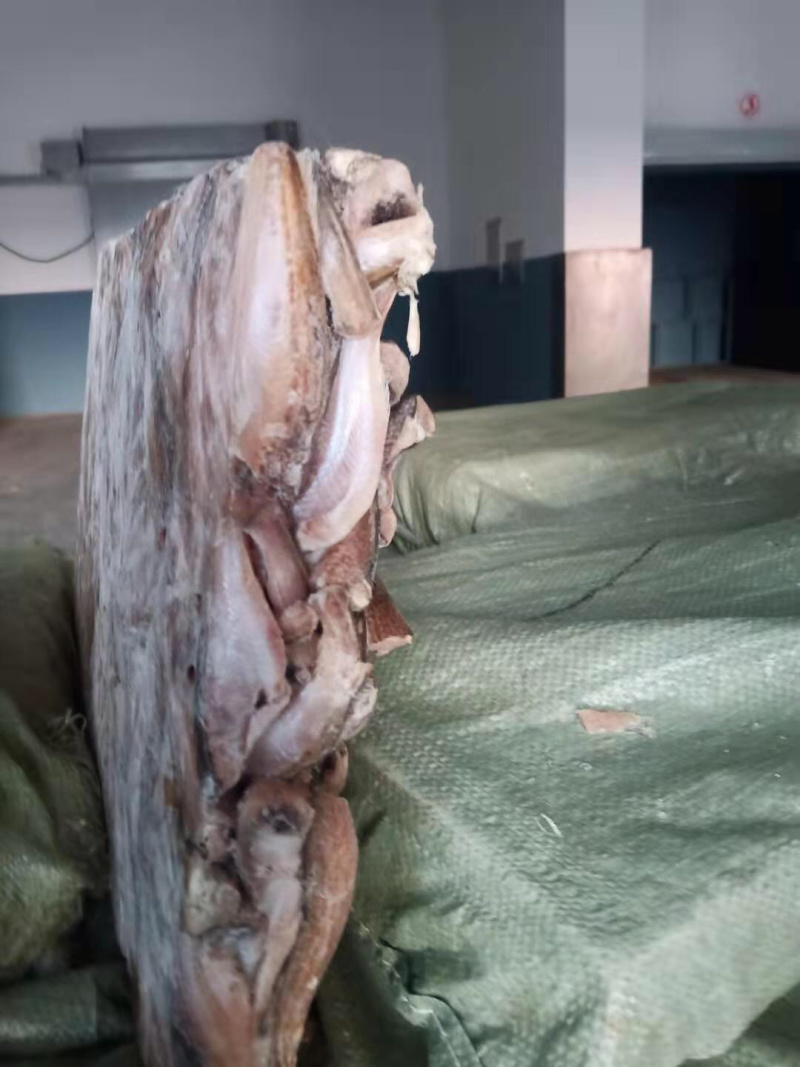 雷鱼，去头去尾雷鱼，三去雷鱼，价格便宜，质量保障，招代理