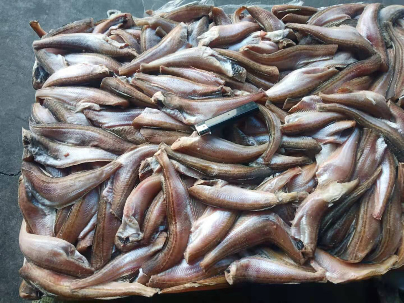 雷鱼，去头去尾雷鱼，三去雷鱼，价格便宜，质量保障，招代理