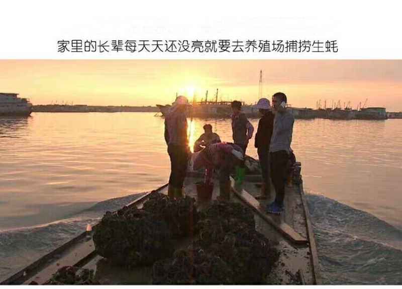 生蚝肉鲜活现剥新鲜蚝仔肉海蛎子蛎蝗肉牡蛎肉汫洲生蚝