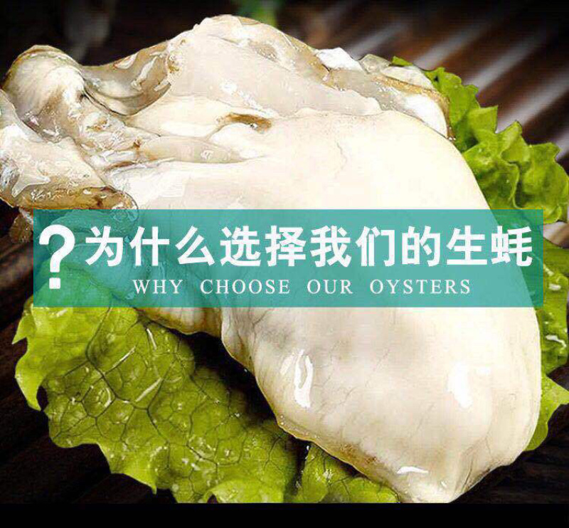 生蚝肉鲜活现剥新鲜蚝仔肉海蛎子蛎蝗肉牡蛎肉汫洲生蚝