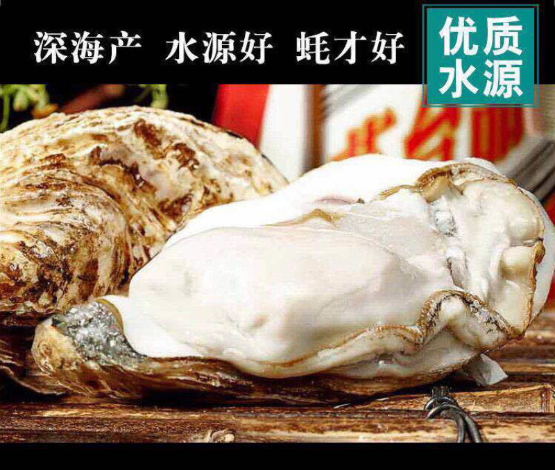 生蚝肉鲜活现剥新鲜蚝仔肉海蛎子蛎蝗肉牡蛎肉汫洲生蚝
