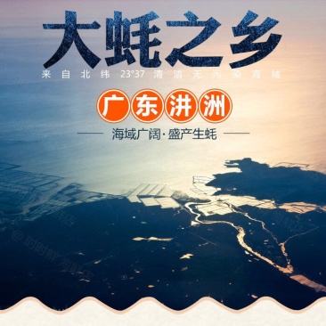 生蚝肉鲜活现剥新鲜蚝仔肉海蛎子蛎蝗肉牡蛎肉汫洲生蚝