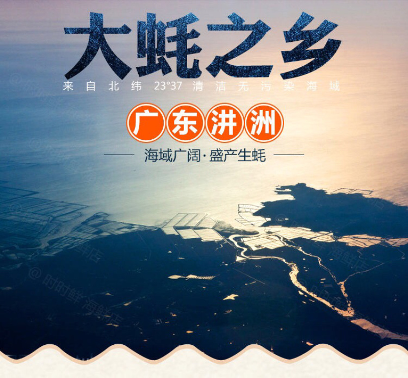 生蚝肉鲜活现剥新鲜蚝仔肉海蛎子蛎蝗肉牡蛎肉汫洲生蚝