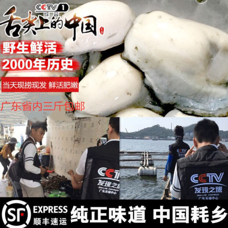 生蚝肉鲜活现剥新鲜蚝仔肉海蛎子蛎蝗肉牡蛎肉汫洲生蚝