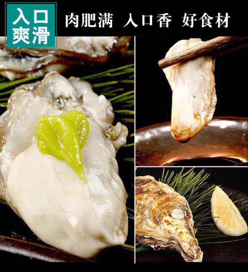 生蚝肉鲜活现剥新鲜蚝仔肉海蛎子蛎蝗肉牡蛎肉汫洲生蚝