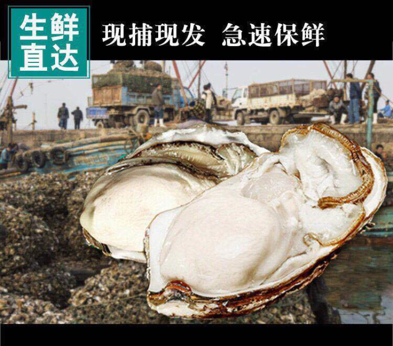 生蚝肉鲜活现剥新鲜蚝仔肉海蛎子蛎蝗肉牡蛎肉汫洲生蚝