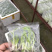 苹果粉蕉苗粉蕉苗巴西香蕉苗