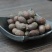 葵树子蒲葵子头风子专营中药批发品质保证