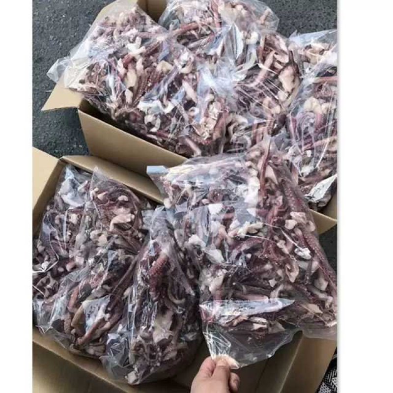 新鲜冷冻脆口章鱼须饭店烧烤铁板食材商用海鲜大八爪鱿鱼须足