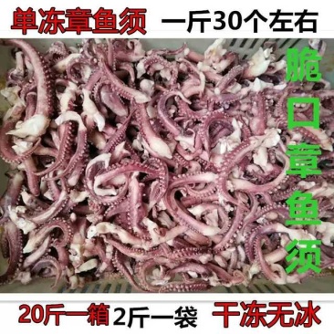 新鲜冷冻脆口章鱼须饭店烧烤铁板食材商用海鲜大八爪鱿鱼须足