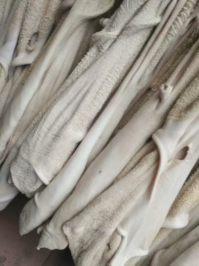 办成品牛肚