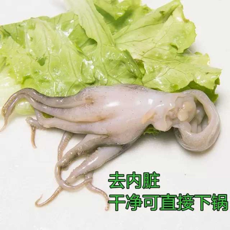 新鲜冷冻深海八爪小章鱼迷你火锅烧烤食材饭店商用去内脏