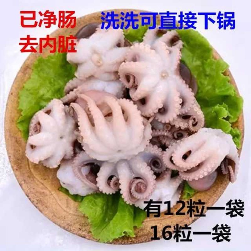 新鲜冷冻深海八爪小章鱼迷你火锅烧烤食材饭店商用去内脏