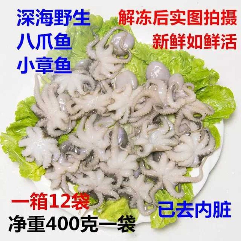 新鲜冷冻深海八爪小章鱼迷你火锅烧烤食材饭店商用去内脏