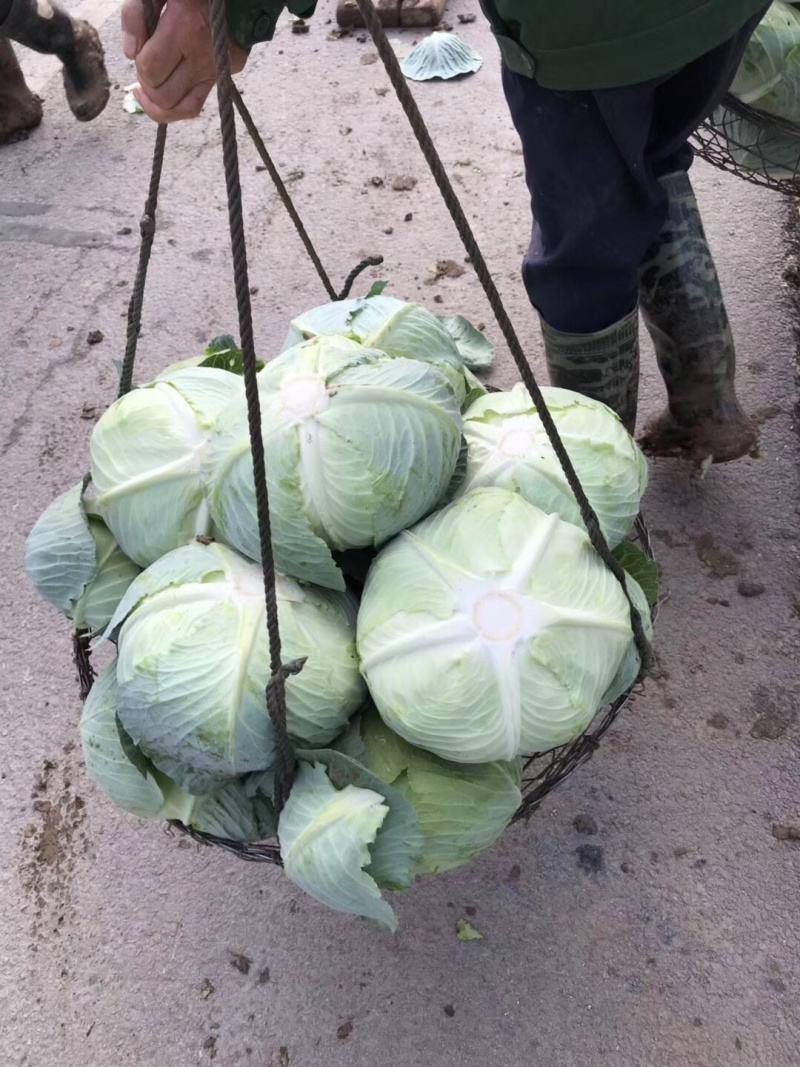 湖南岳阳奥奇娜扁包，基地直供，诚信第一，质量第二