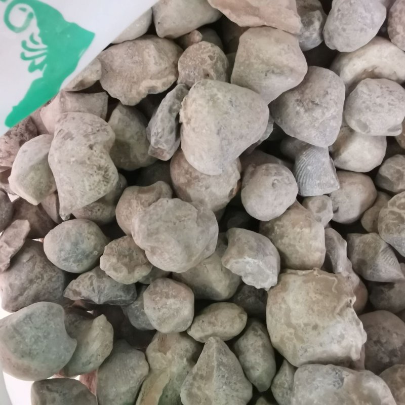 石燕正品专营中药批发可打粉品质保证
