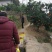 正宗奉节脐橙~鲜橙无污染生态果，有香味的橙子