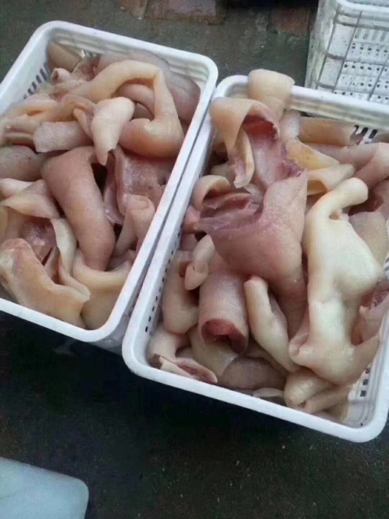 牛头皮筋，可以切丝，可整张卖凉拌非常好吃