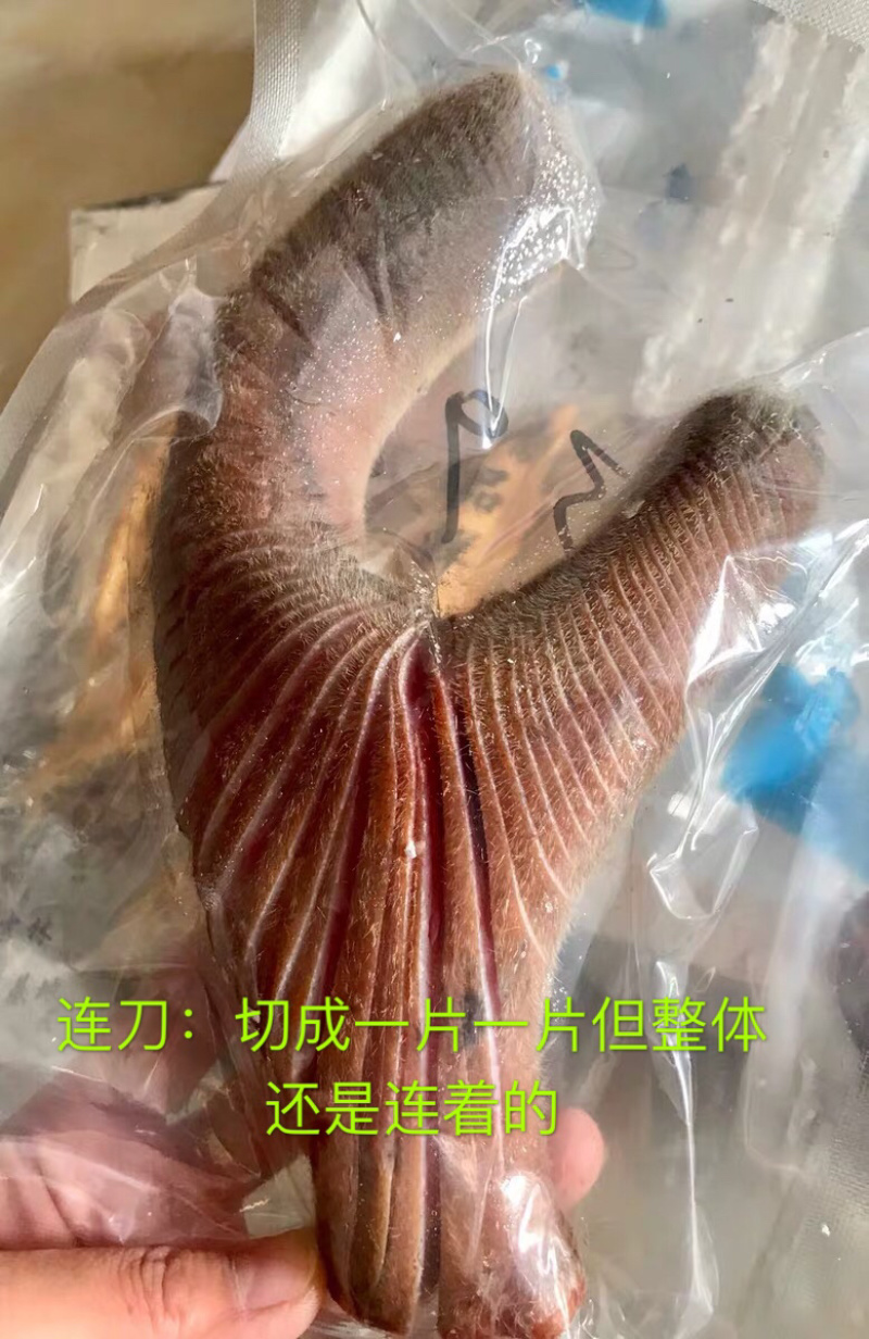 鲜鹿茸整只梅花鹿鹿茸二杠鹿茸东北吉林双阳鹿乡镇鹿厂直发