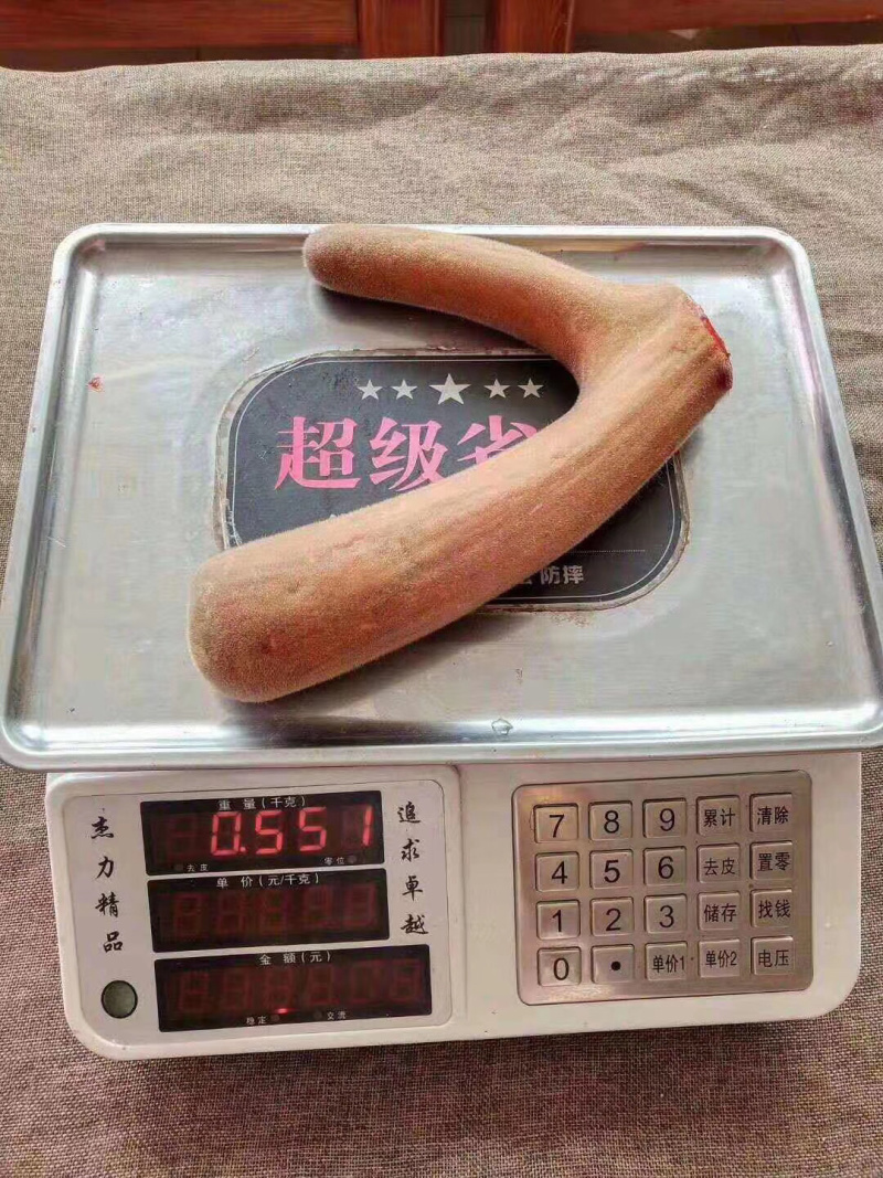 鲜鹿茸整只梅花鹿鹿茸二杠鹿茸东北吉林双阳鹿乡镇鹿厂直发