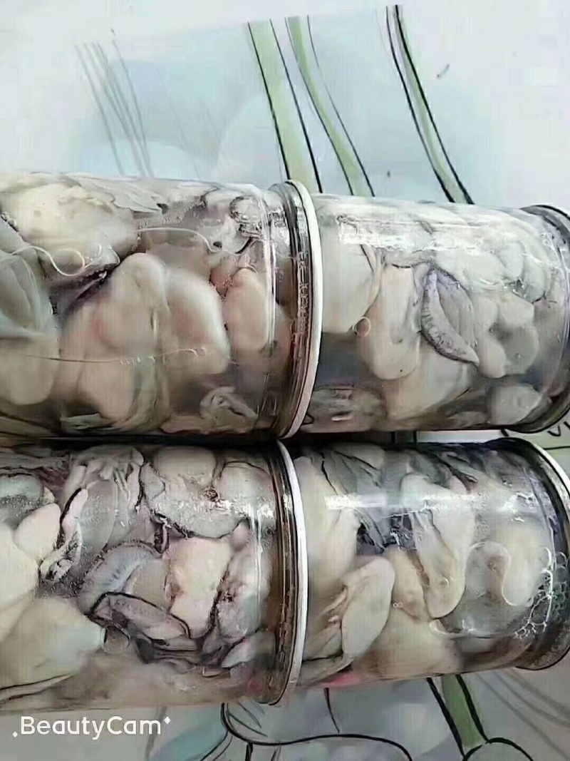 新鲜现剥生蚝肉，现剥生蚝肉