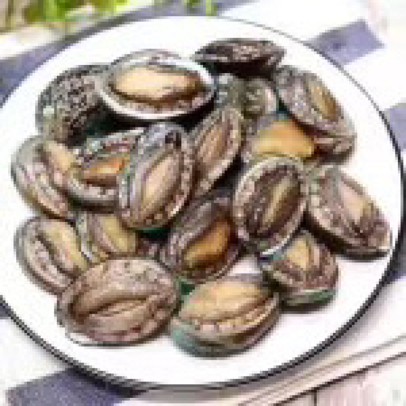 鲜活鲍鱼，新鲜发货，新鲜发货