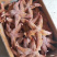 海星，熟冻海星，熟冻发货