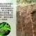 铁棍山药垆土铁棍山药2022新挖上市怀山药