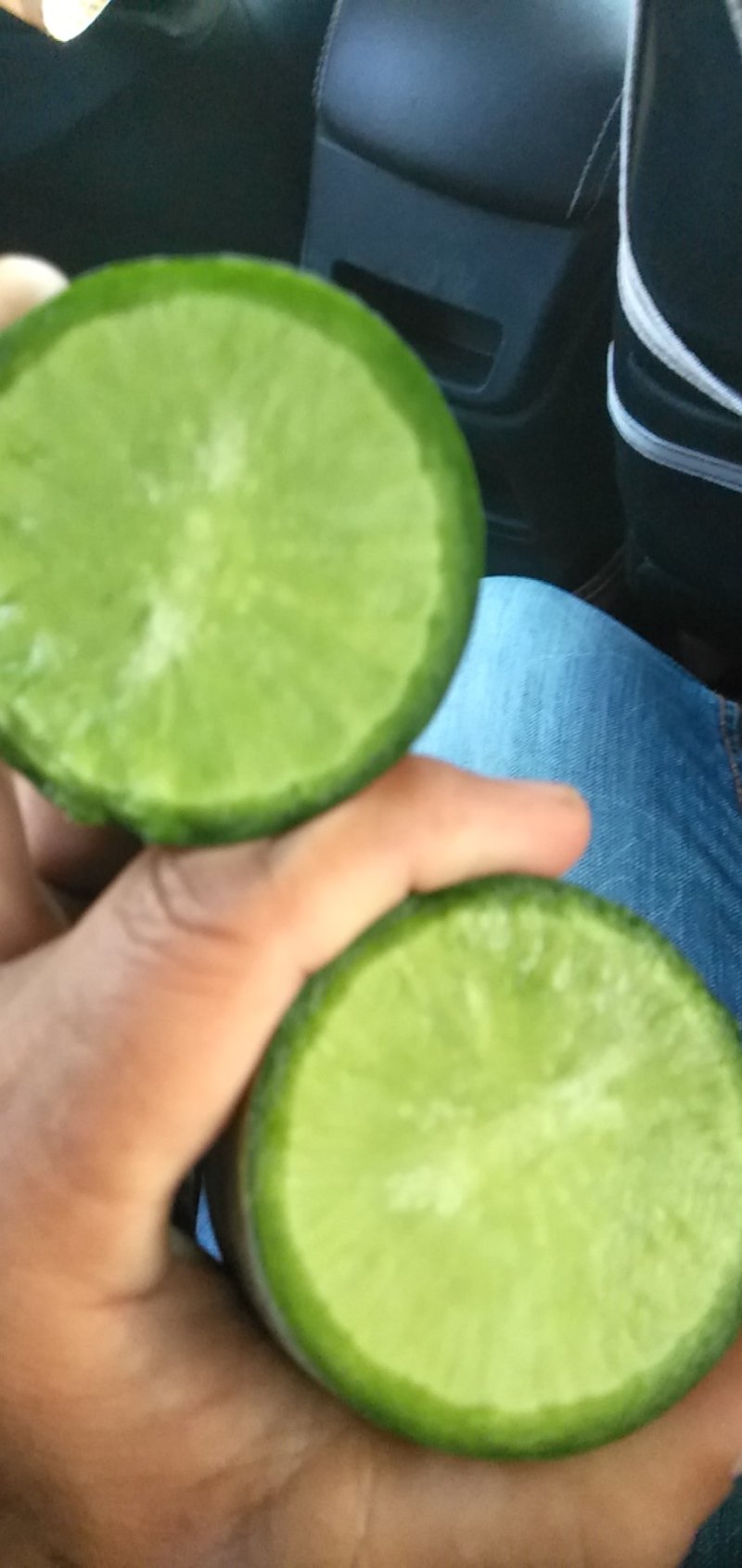 沙窝萝卜