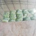 北京三号长白菜，质量好，耐运输，耐储藏，单个5斤。