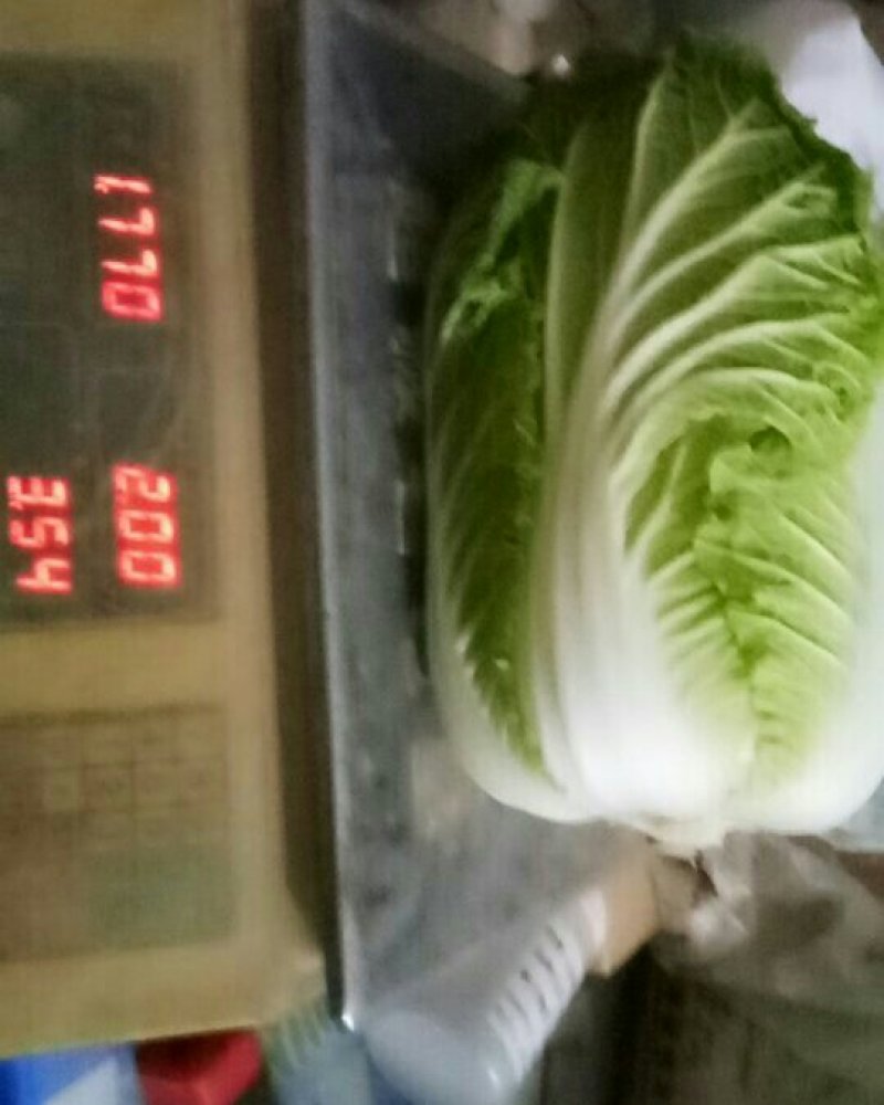 黄心大白