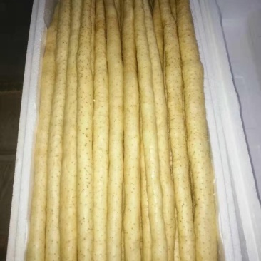 水洗小白嘴山药网袋，口感好，大量供应，产地直发加工