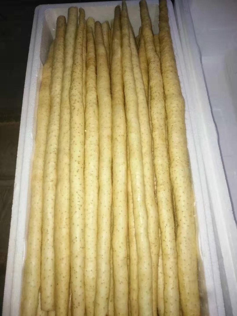 水洗小白嘴山药网袋，口感好，大量供应，产地直发加工