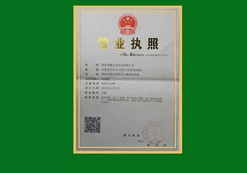 野生藤茶特级明前嫩芽礼盒装300g一盒