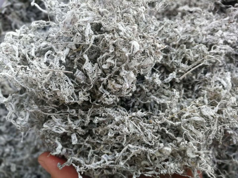 野生藤茶特级明前嫩芽礼盒装300g一盒