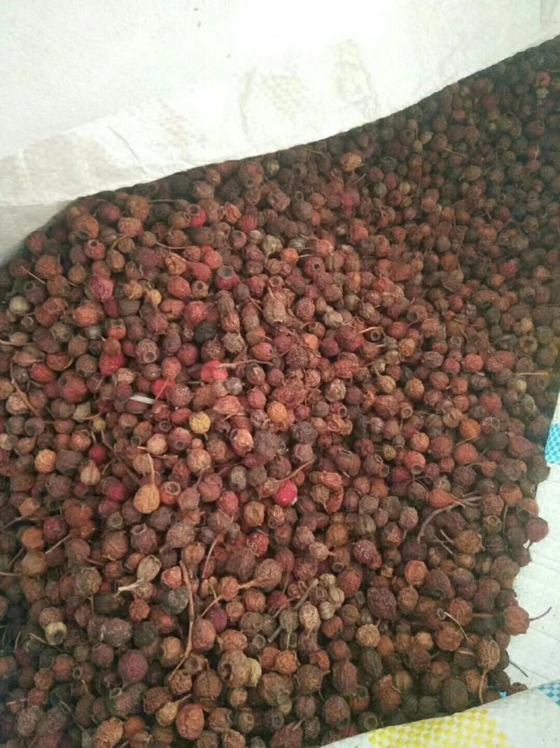 野山楂\小山楂\药用山楂净货，过风机货。