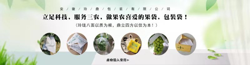 安徽玲鼎果袋厂家销售全透明微孔套袋透光透气着色好