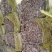 供应喂牛羊兔植物性饲料大蒜皮压块降低养殖成本白色大蒜内皮
